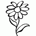 A3002 Daisy